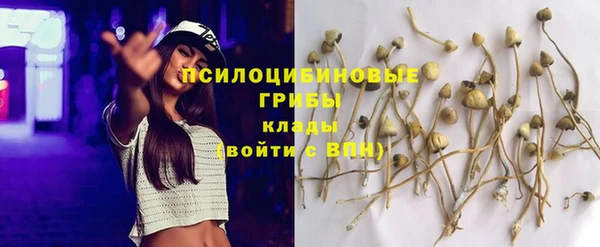 марки lsd Бугульма