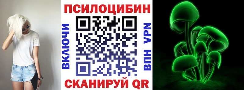 Псилоцибиновые грибы Psilocybine cubensis Менделеевск